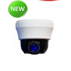 SECAM Indoor PTZ Camera 1/3" SONY Super HAD II CCD+Effio‐E, 10X(f=3.8~38mm), Color 650TVL, Black 700TVL